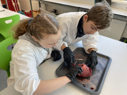 k-projektwoche1al (1)